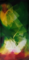 Lattice (Ambient) Shadowboxin III, 2014,&nbsp;61.5 x 30 inch&nbsp;unique chromogenic photogram&nbsp;
