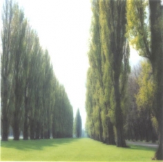 Parc de Sceaux, France (5-95-9c-9), 1995 Chromogenic print, 28 x 28 inches
