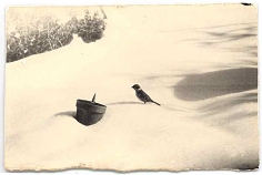 Masao Yamamoto, Untitled #77 from the series A Box of Ku. Hand-toned gelatin silver print, 3 x 4 1/2 inches.