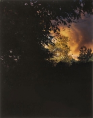&quot;Field at Dusk #3&quot;, 2008, 20 x 16 inch Chromogenic Print, Edition of 7