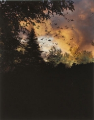 &quot;Field at Dusk #2&quot;, 2008, 20 x 16 inch Chromogenic Print, Edition of 7