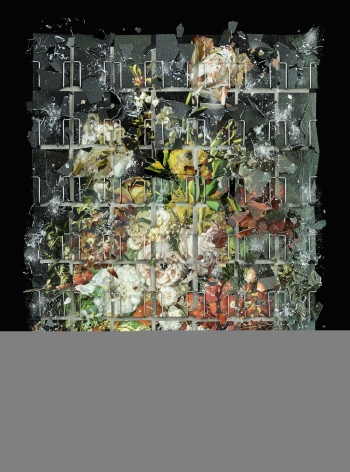 Ori Gersht,&nbsp;Becoming, Flower 02,&nbsp;2021. Archival pigment print, 43 1/4 x 31 1/2 inches.&nbsp;