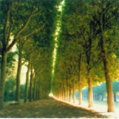 Parc de Sceaux, Paris, France (10-97-7c-8), 2004,&nbsp;19 x 19,&nbsp;28 x 28,&nbsp;or 38 x 38 inch&nbsp;archival pigment print