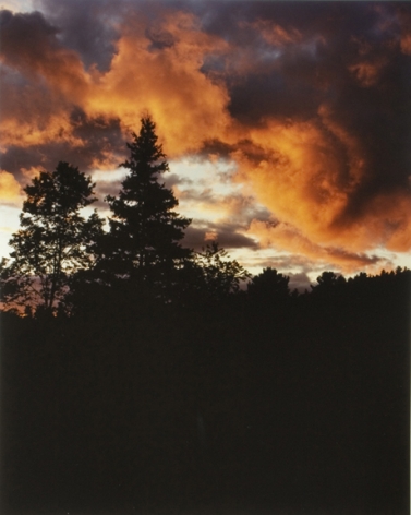 Field at Dusk #1, from the series Wildlife Analysis, 2008, 20 x 16 or 24 x 20 inch chromogenic print