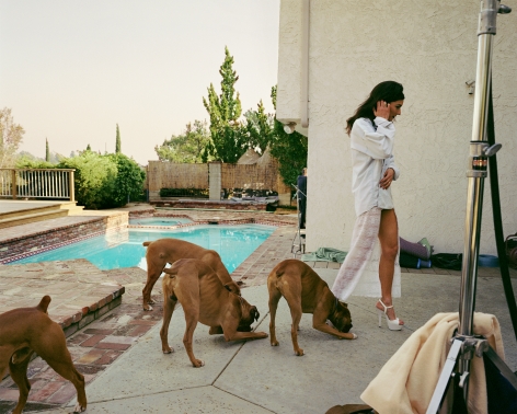 Boxers, Mission Hills, from the series The Valley, 1999. Color coupler print, 30&nbsp;x 37 1/2&nbsp;inches.