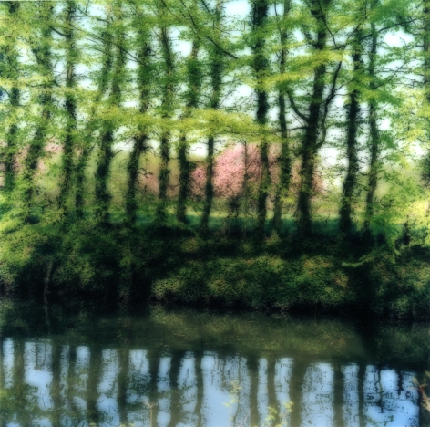 Beloeil, Belgium (4-04-49c-9), 2004,&nbsp;19 x 19,&nbsp;28 x 28,&nbsp;or 38 x 38 inch&nbsp;archival pigment print